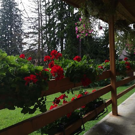 Challet Montan Poiana Brasov Εξωτερικό φωτογραφία