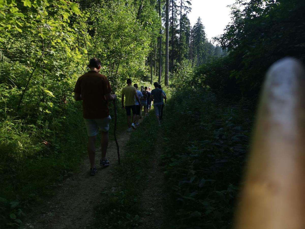 Challet Montan Poiana Brasov Εξωτερικό φωτογραφία