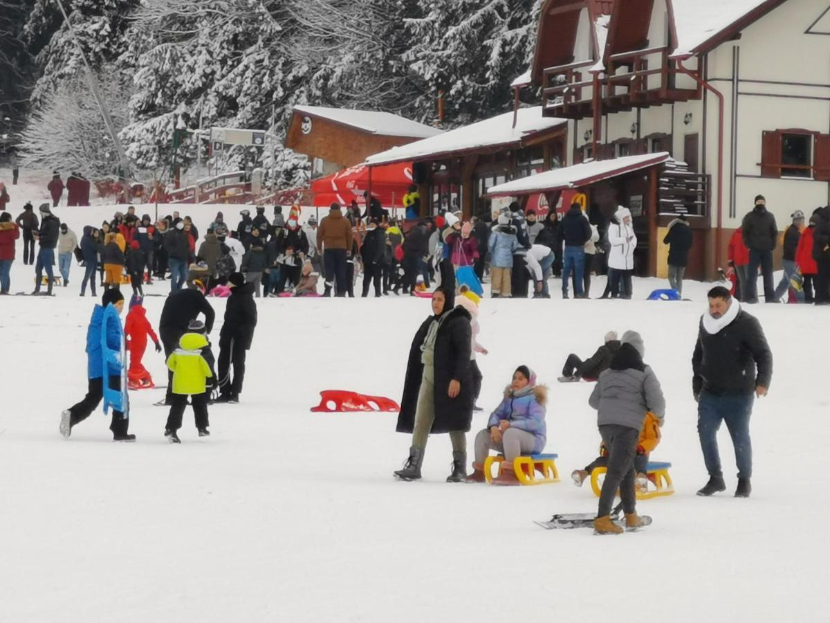 Challet Montan Poiana Brasov Εξωτερικό φωτογραφία