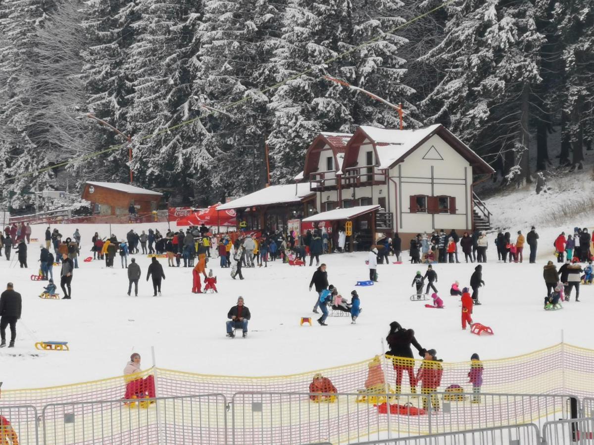 Challet Montan Poiana Brasov Εξωτερικό φωτογραφία