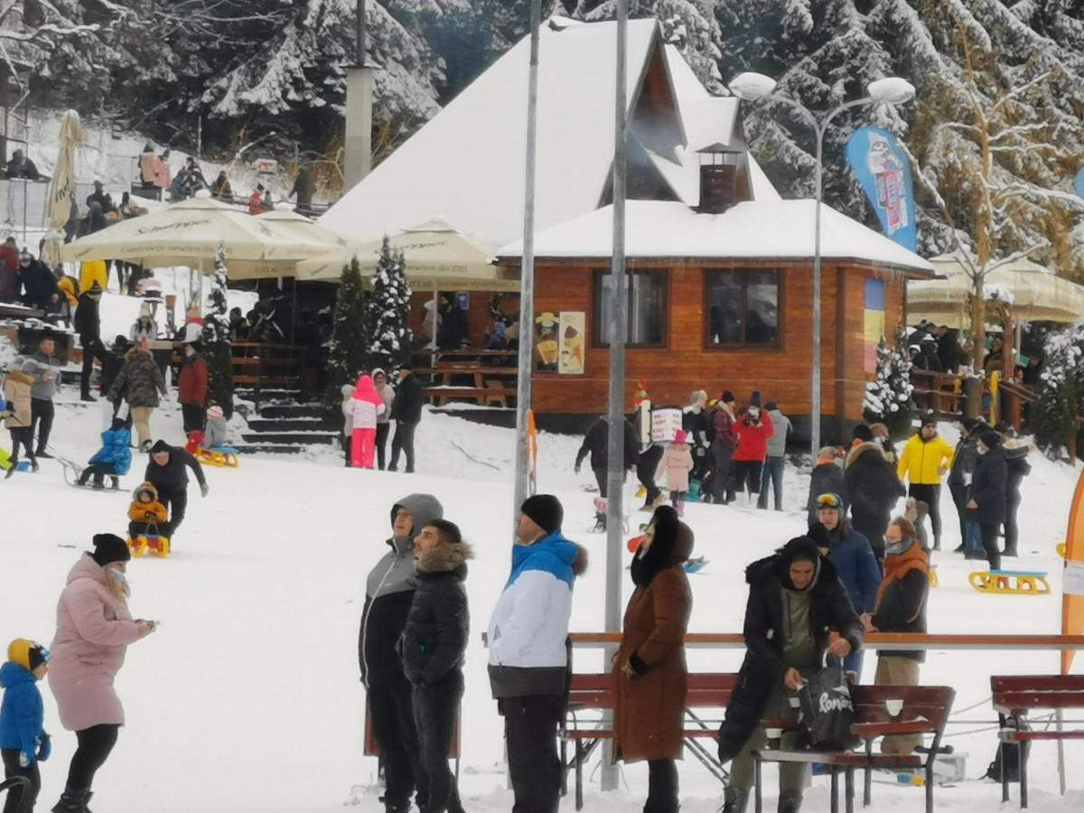 Challet Montan Poiana Brasov Εξωτερικό φωτογραφία