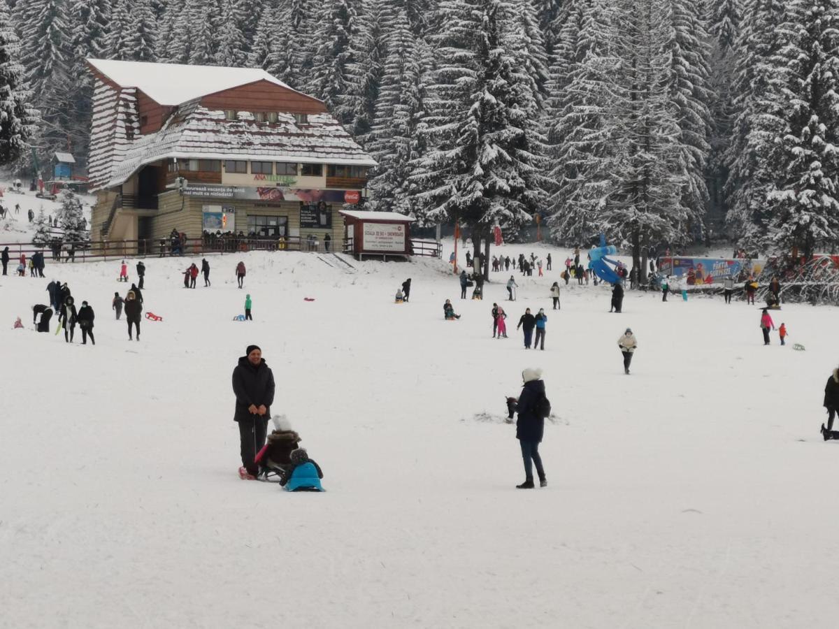 Challet Montan Poiana Brasov Εξωτερικό φωτογραφία