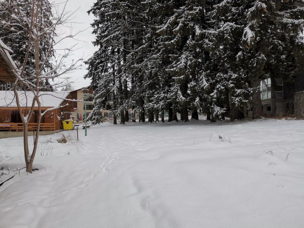 Challet Montan Poiana Brasov Εξωτερικό φωτογραφία