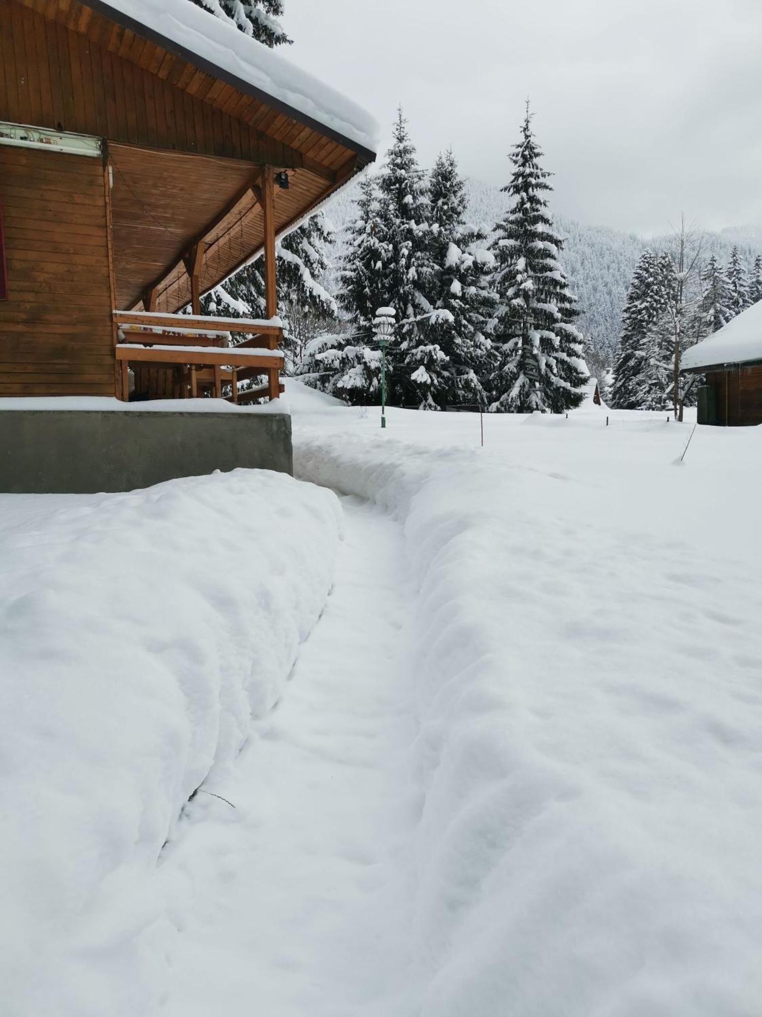 Challet Montan Poiana Brasov Εξωτερικό φωτογραφία