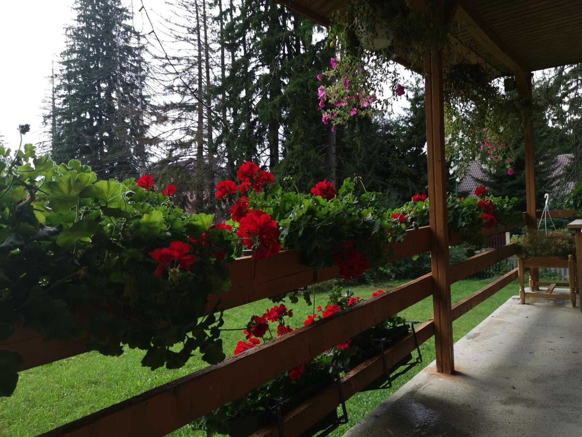 Challet Montan Poiana Brasov Εξωτερικό φωτογραφία