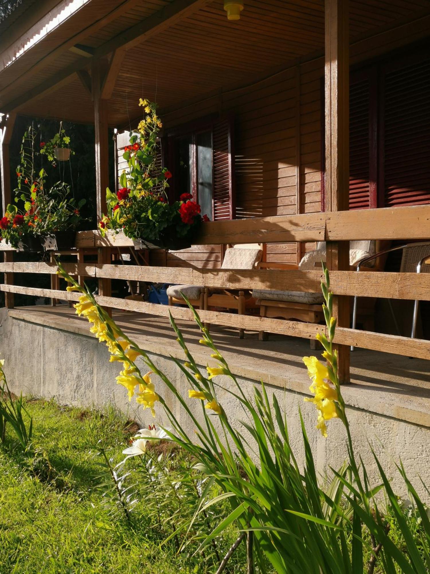 Challet Montan Poiana Brasov Εξωτερικό φωτογραφία