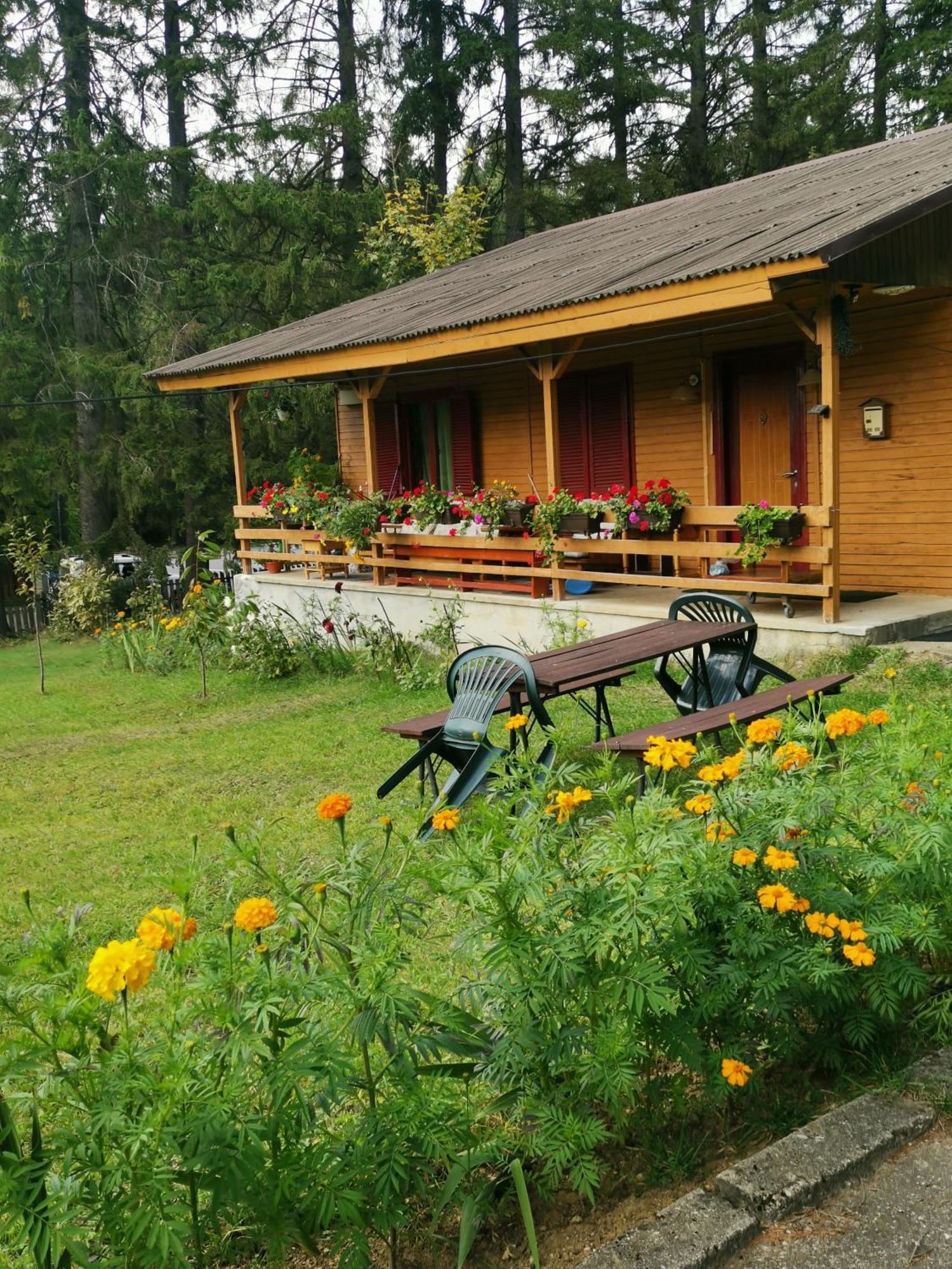 Challet Montan Poiana Brasov Εξωτερικό φωτογραφία